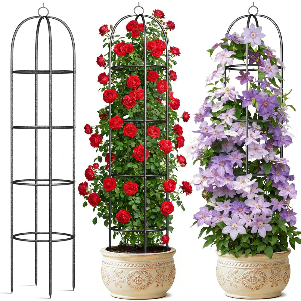CL FUN trellis front view showing stable freestanding support