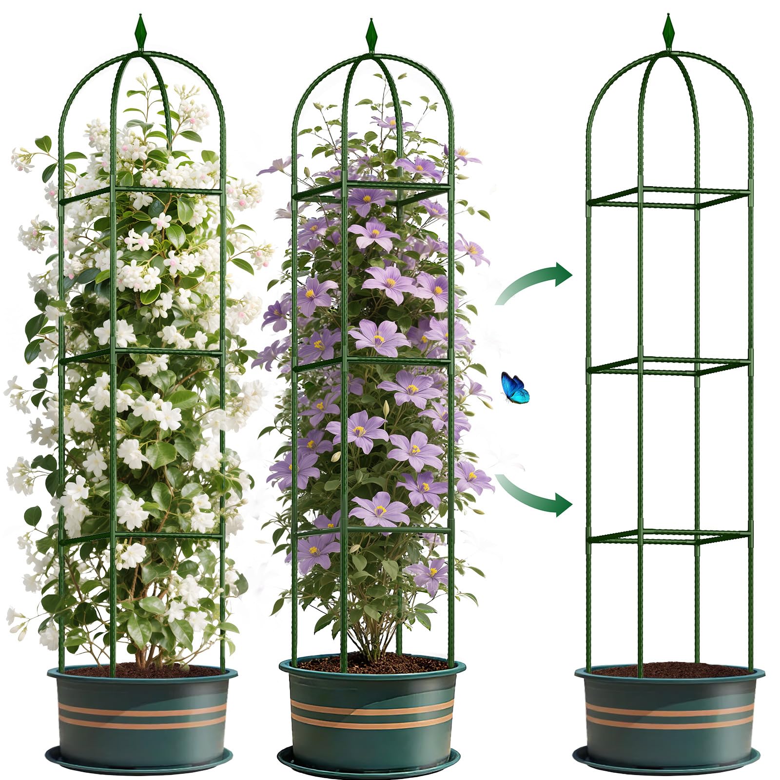 CL FUN trellis front view showing full obelisk support for climbing plants