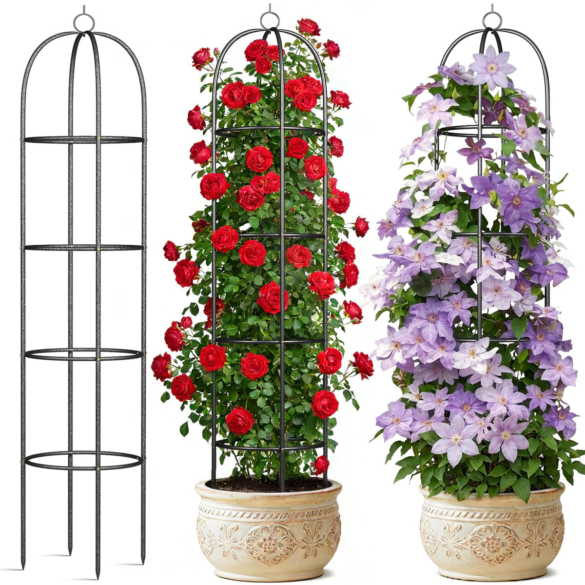 CL FUN trellis front view showing stable freestanding support