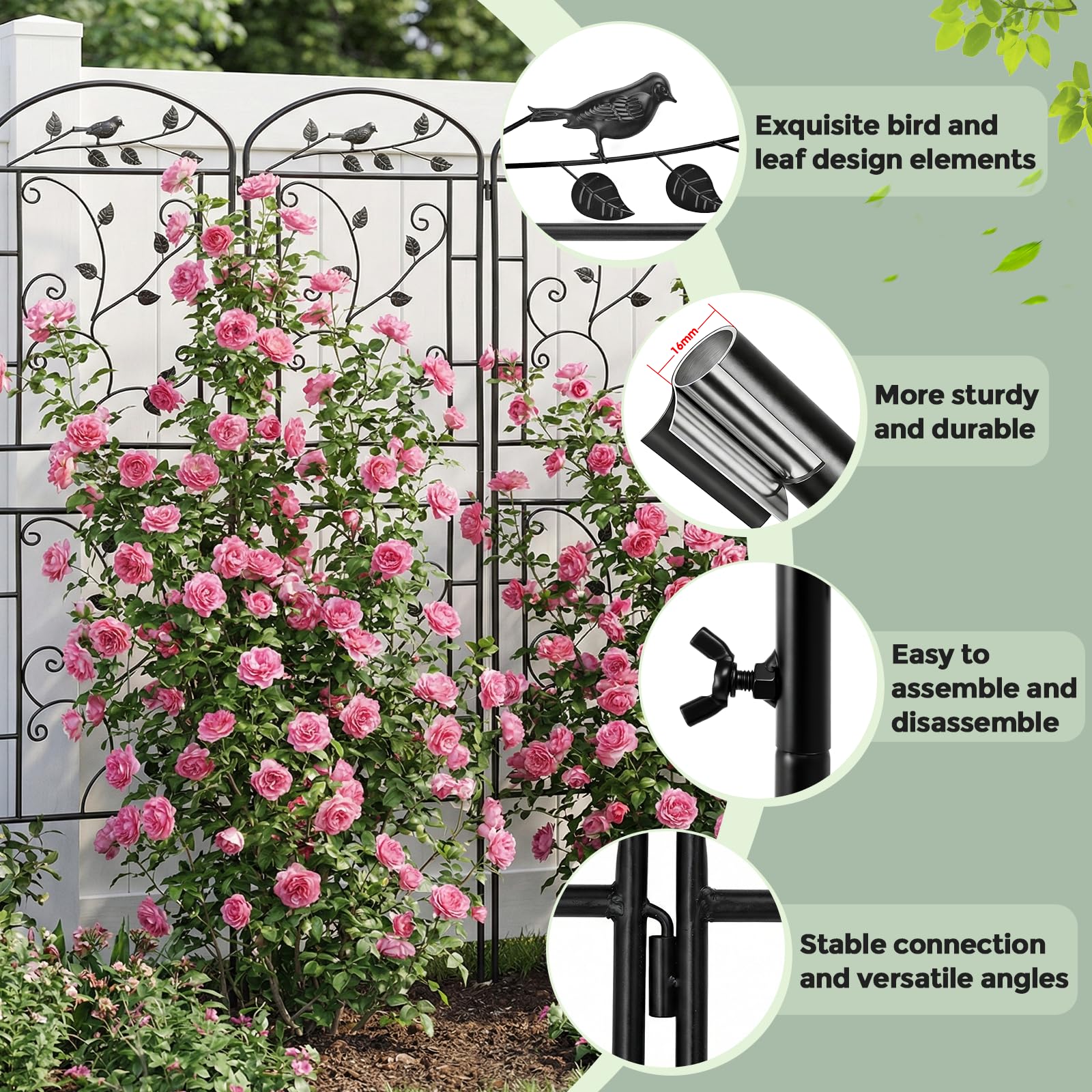 CL FUN garden trellis supporting climbing roses and improving vertical growth and appearance