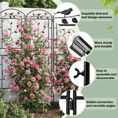 CL FUN garden trellis supporting climbing roses and improving vertical growth and appearance