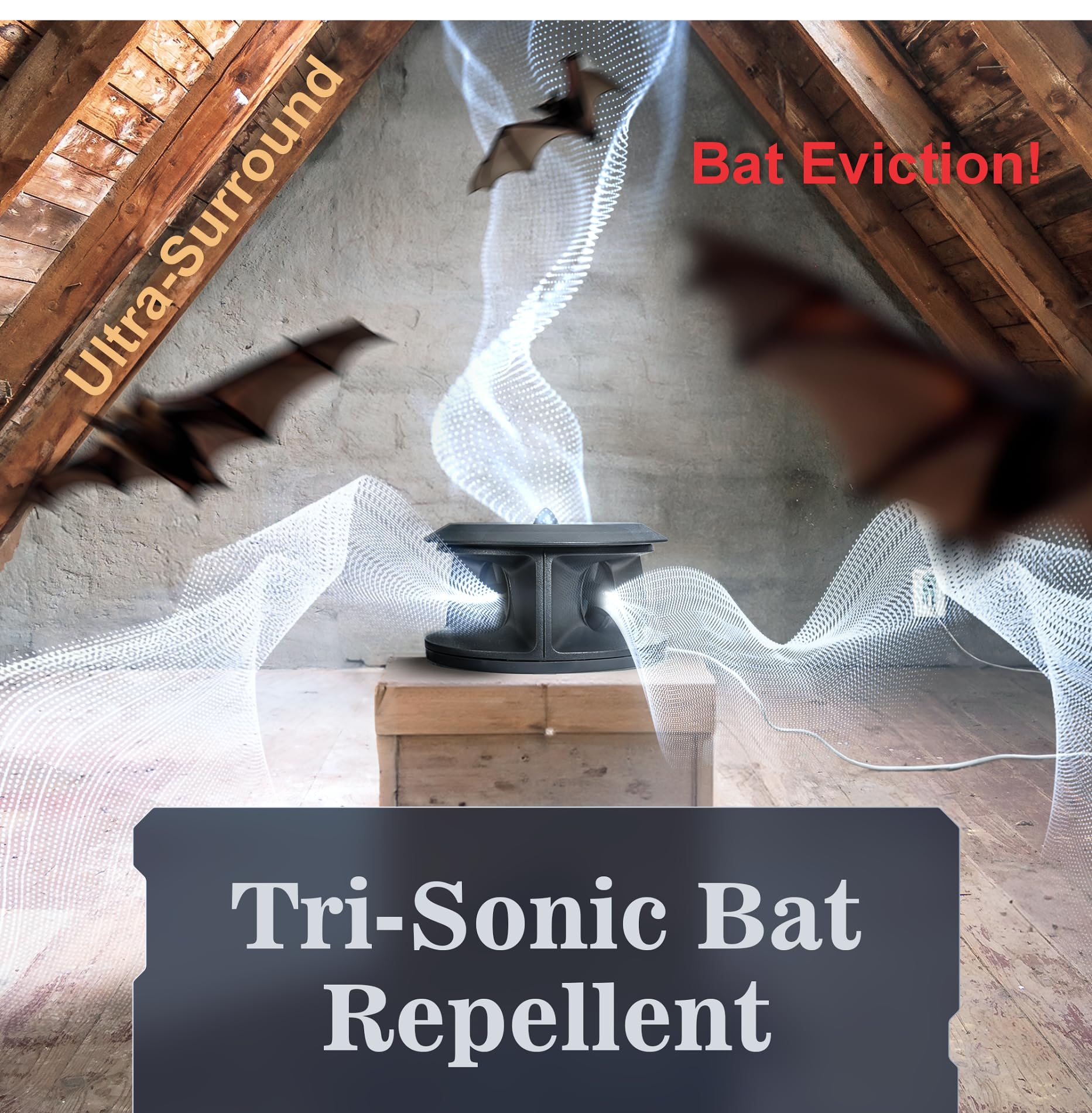 CLEANRTH installed in attic aimed at entry points to safely deter bats