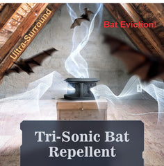 CLEANRTH installed in attic aimed at entry points to safely deter bats