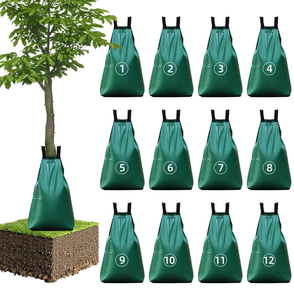 Clebay 12-pack front packaging showing full set and branding, durable and ready