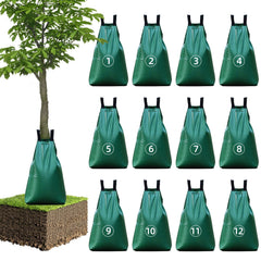Clebay 12-pack front packaging showing full set and branding, durable and ready