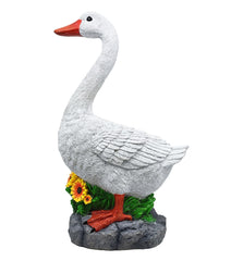 Clerodendrum goose front view showing realistic posture and instant curb appeal