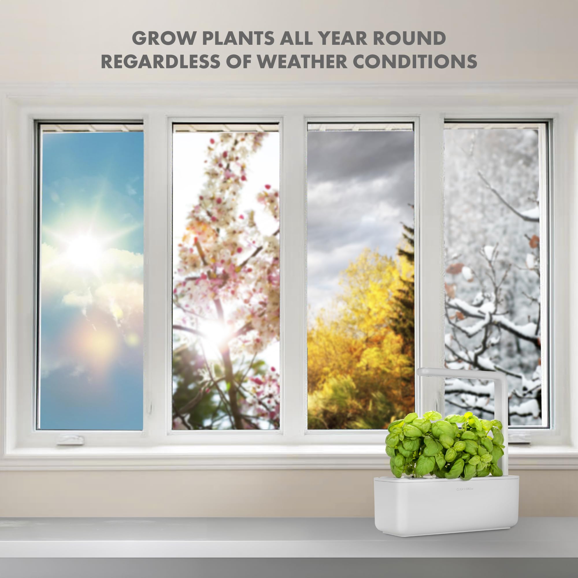 Click and Grow top-down view of three planted pods, clear layout and immediate starter set