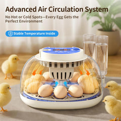 CluckRun automatic egg turner detail demonstrating gentle rotation benefit for embryos