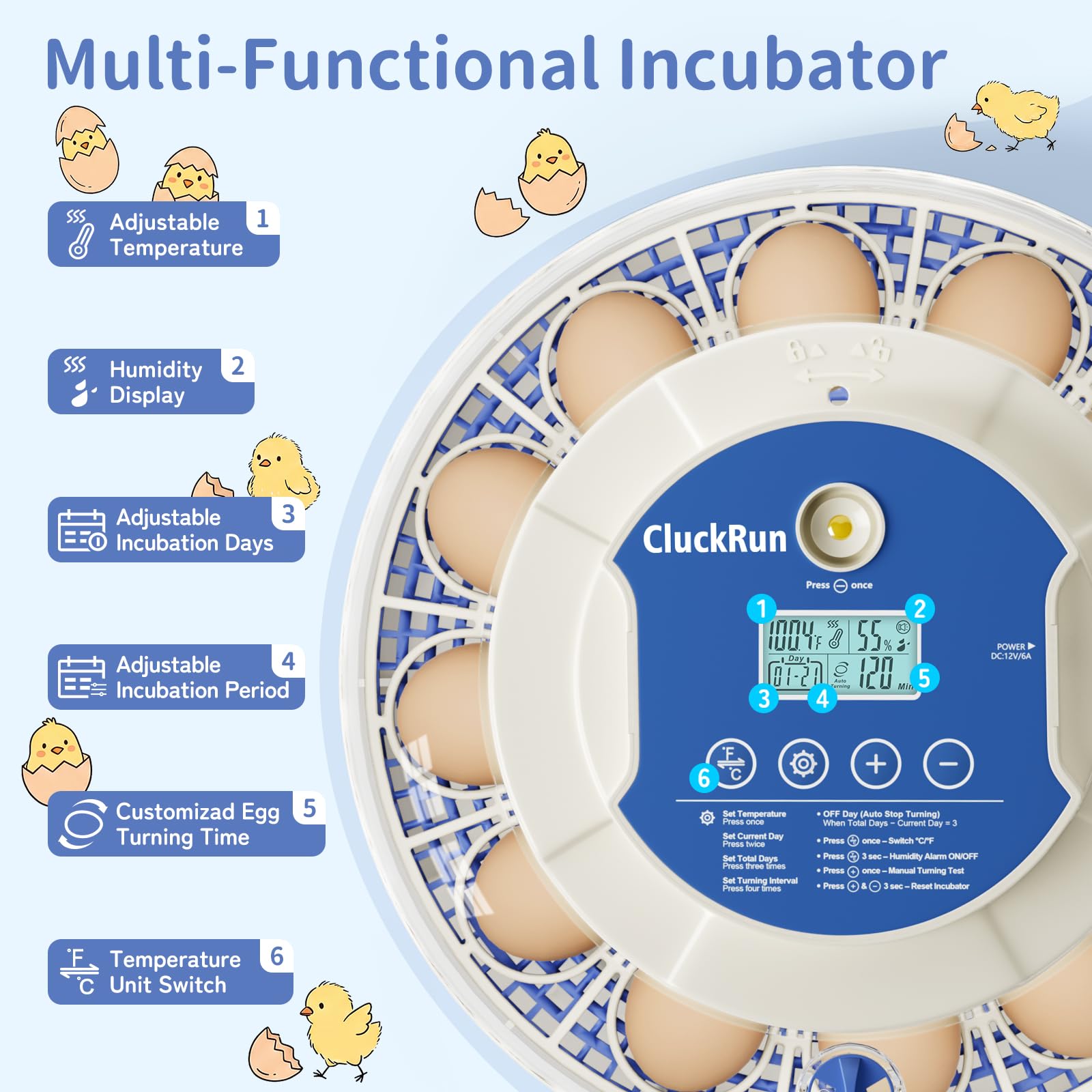 CluckRun built-in egg candler revealing embryo development for checks