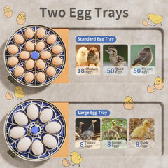 CluckRun two egg trays holding different egg sizes for flexible incubation