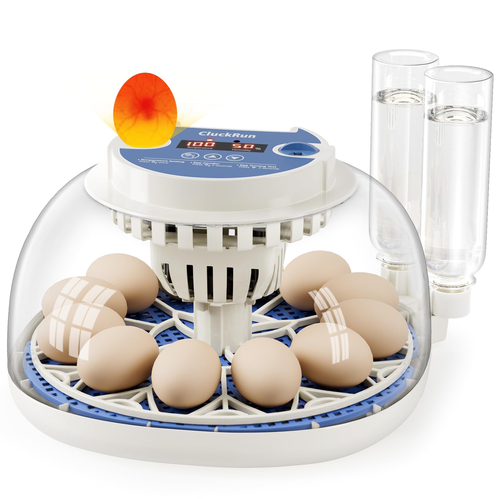 CluckRun front view showing compact incubator and clear hatch window for easy monitoring