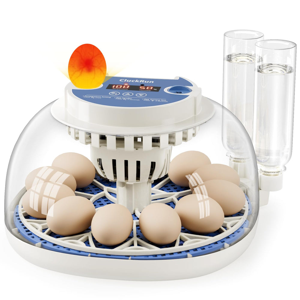 CluckRun front view showing compact incubator and clear hatch window for easy monitoring