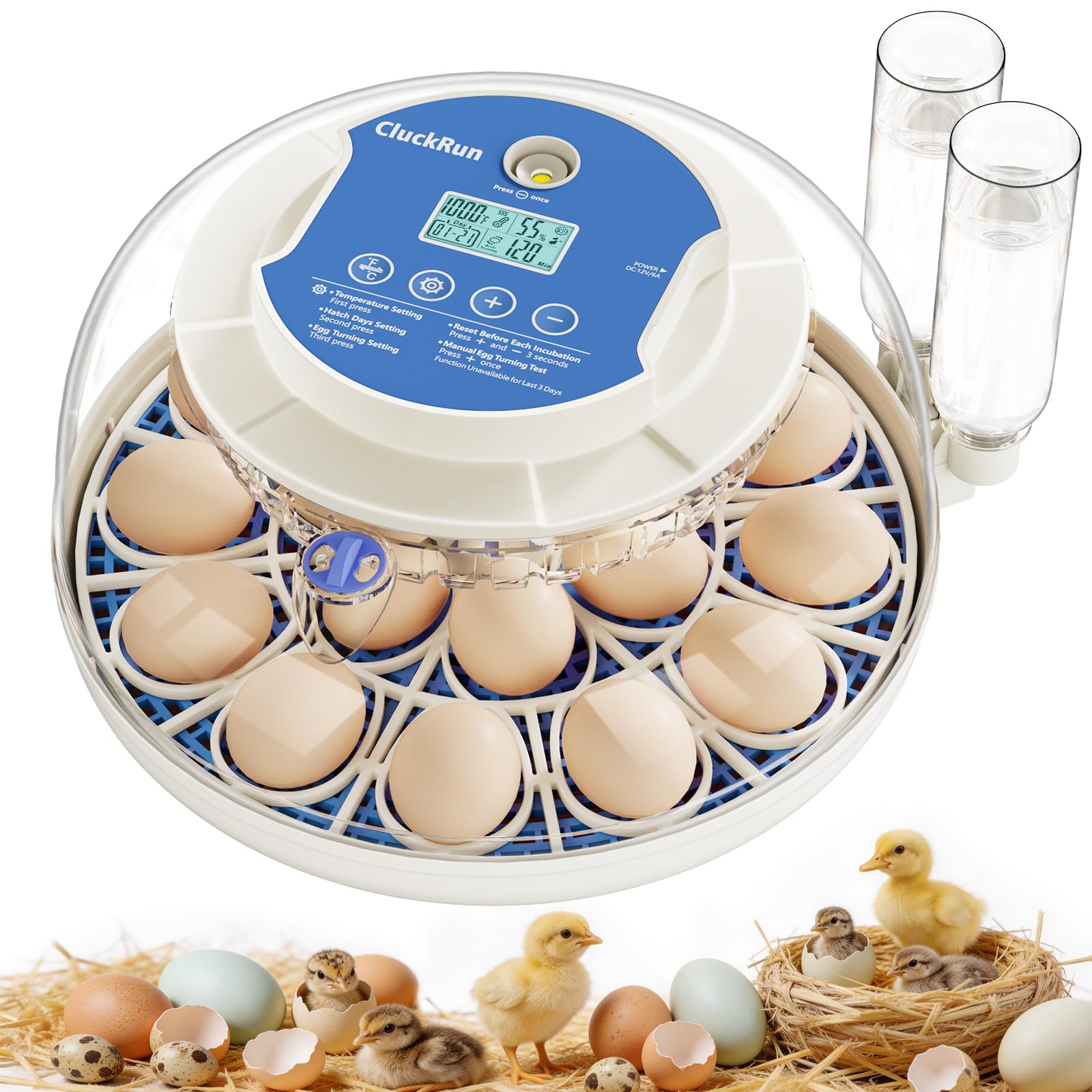 CluckRun front view showing incubator and clear lid for easy monitoring