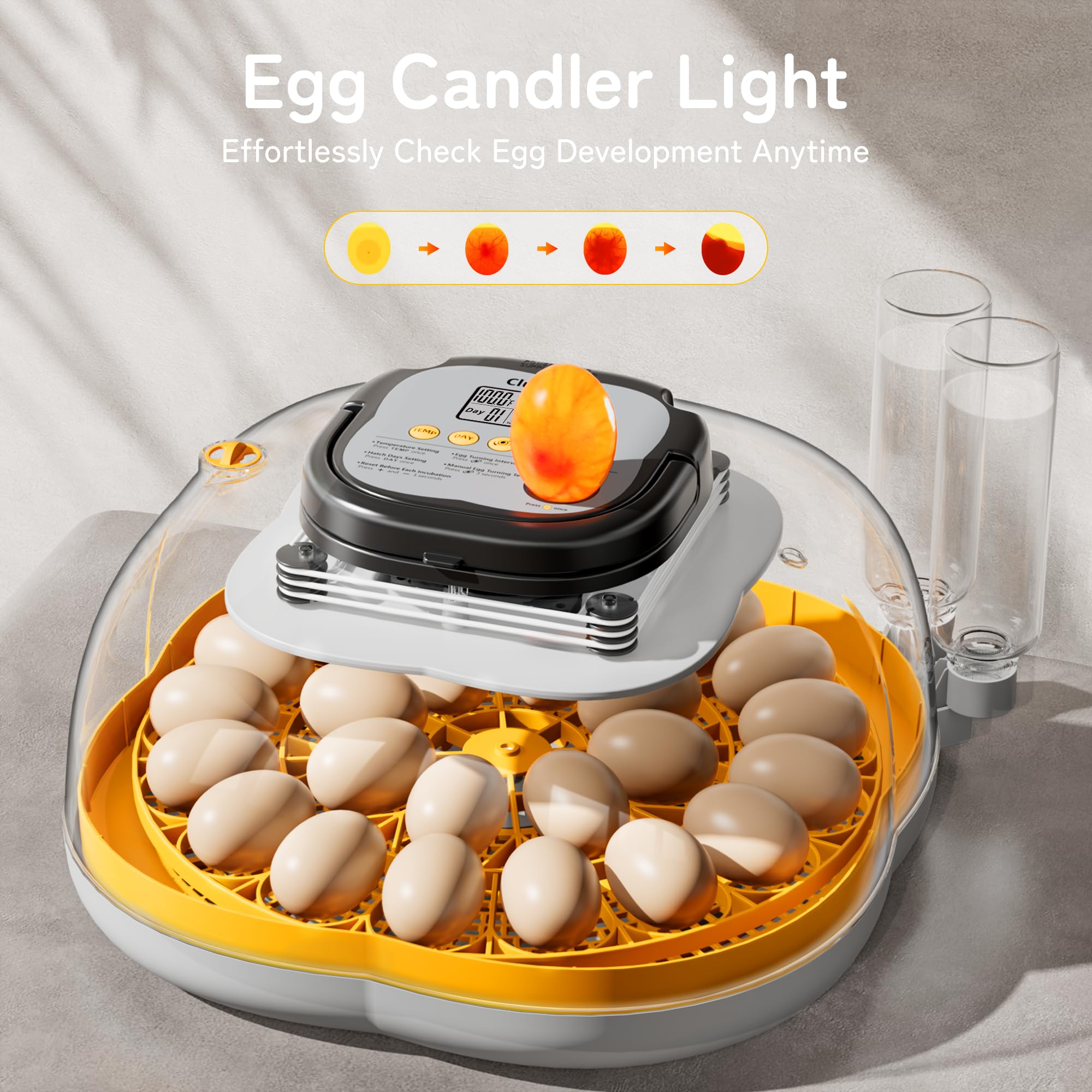 CluckRun incubator placed in a backyard hobby setup illustrating compact convenience