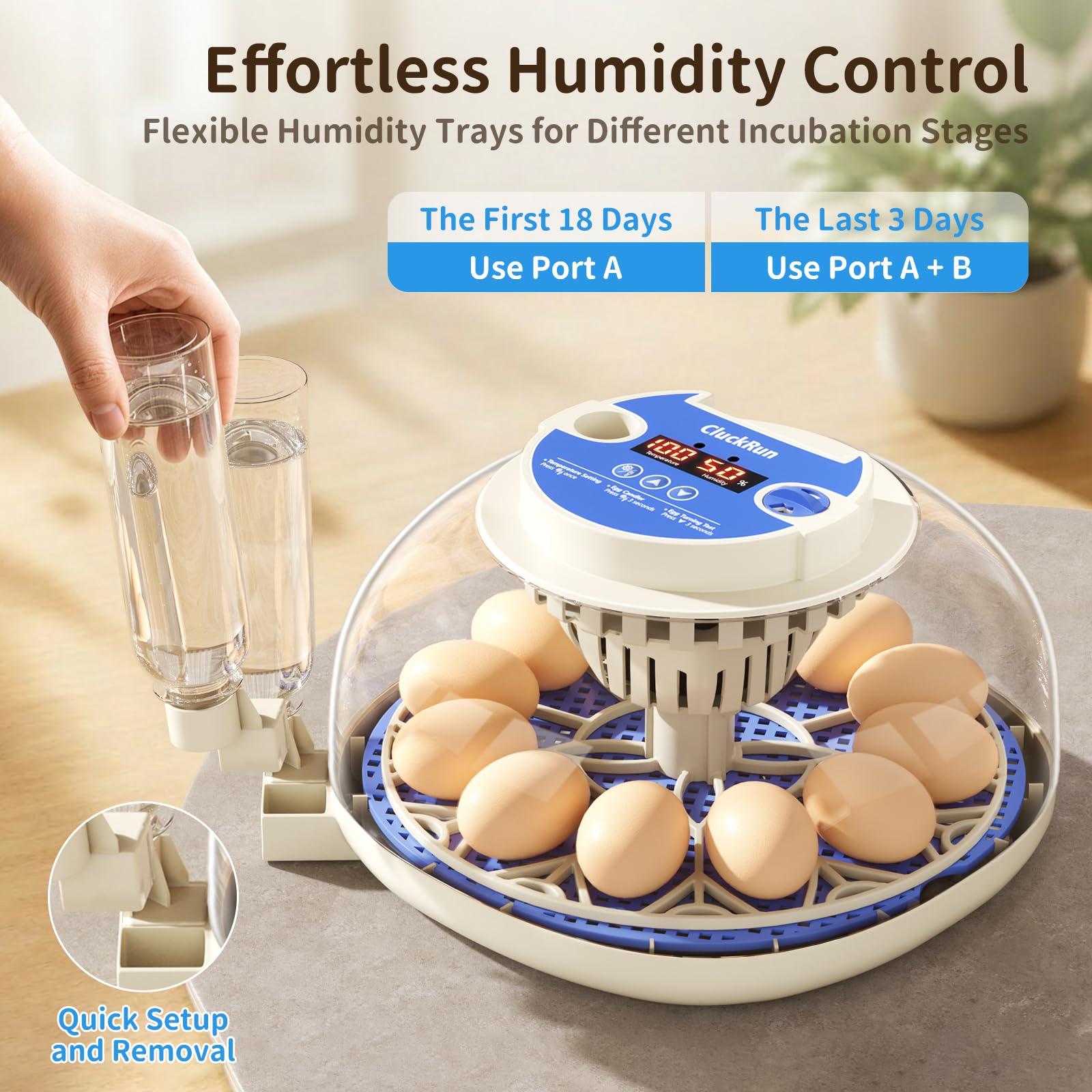 CluckRun incubator on a tabletop with eggs illustrating small-batch hatching at home