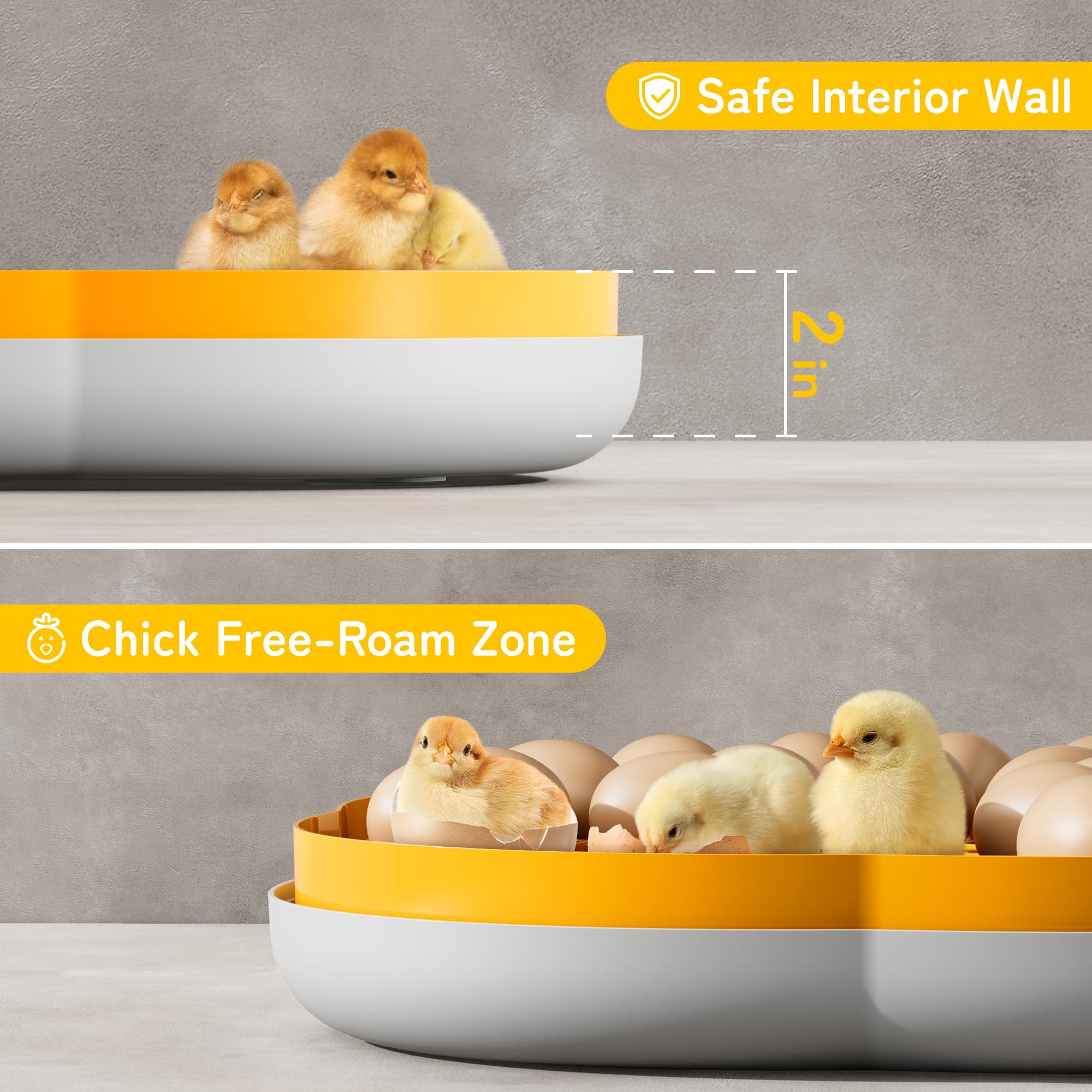 CluckRun top view highlighting digital display and hatch for simple adjustments