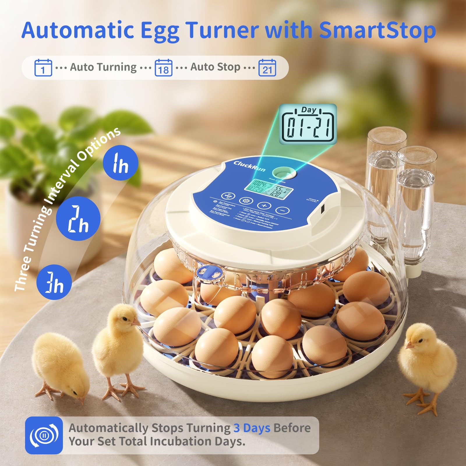 CluckRun transparent lid offering 360-degree visibility to observe eggs