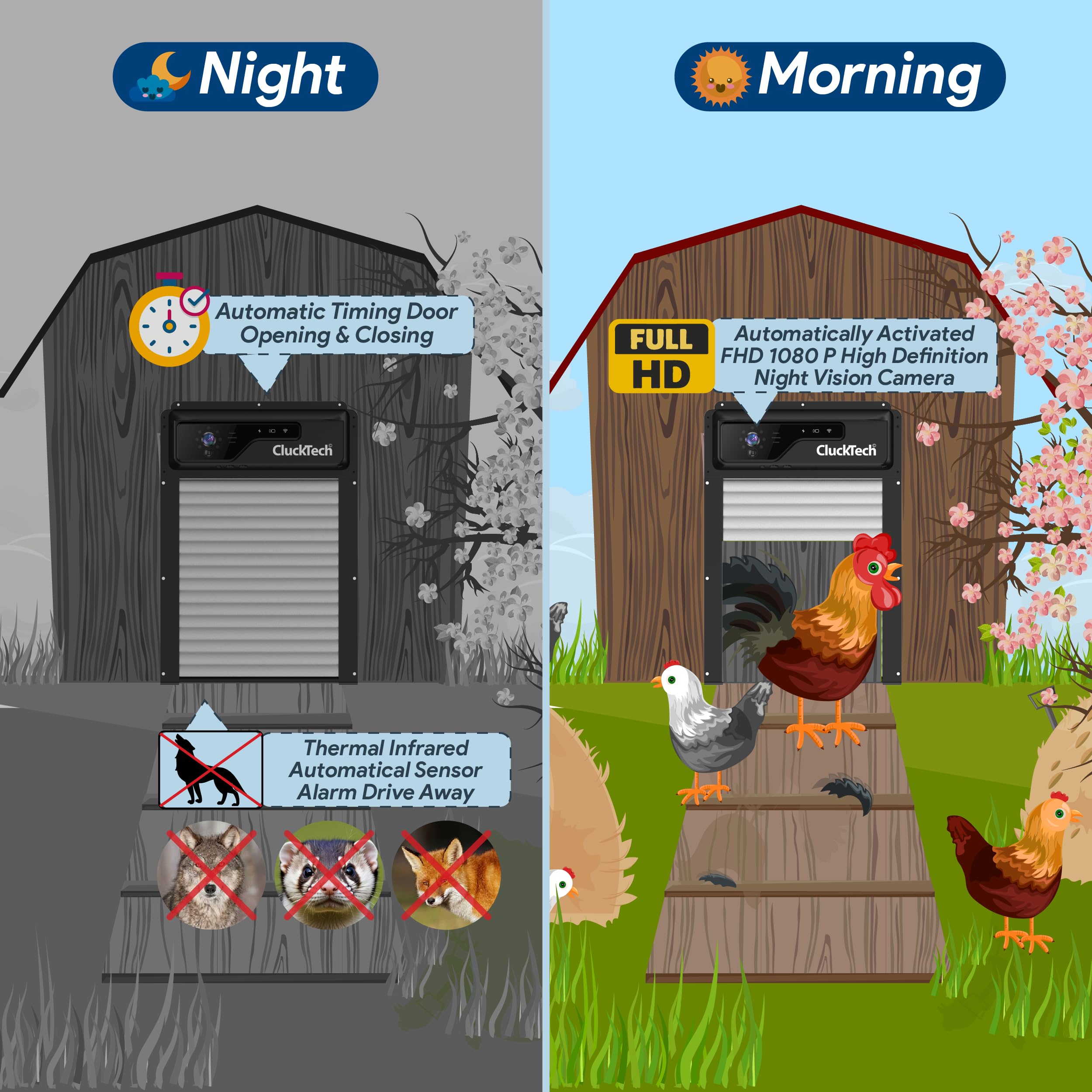 CLUCKTECH coop door open with chickens walking through showing hands-free daily automation