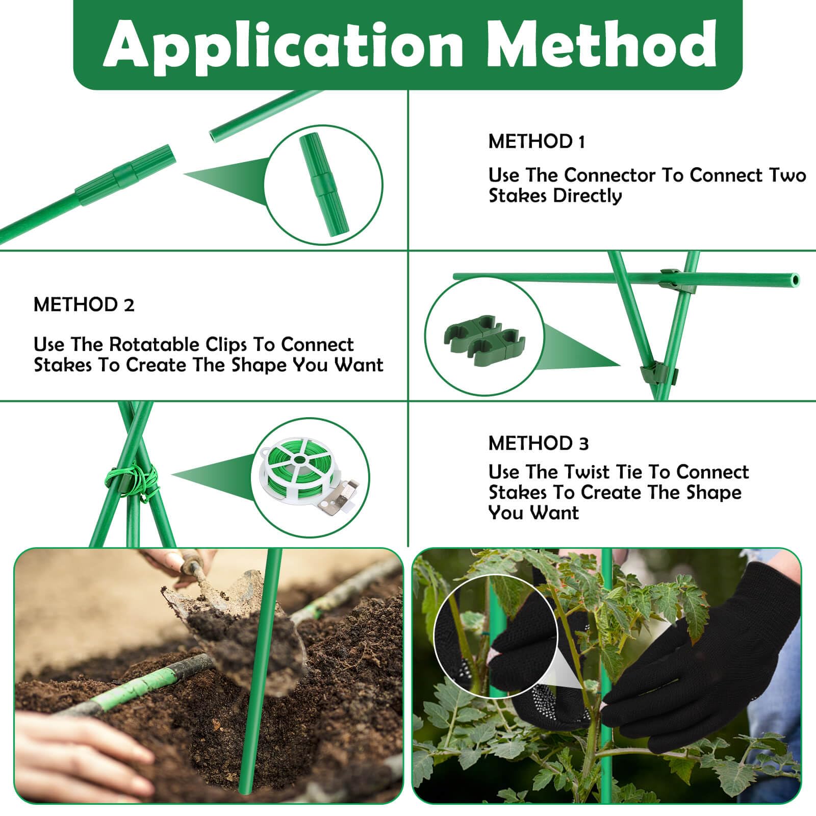 Cludoo lifestyle view of tomato plant in container using stakes for tidy growth