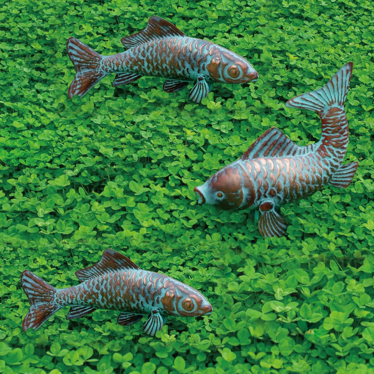CLYB front view of three koi statues, shows elegant garden focal point