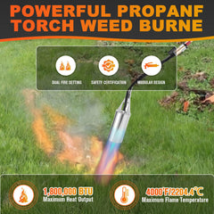 CMOOD torch used on driveway weeds, fast chemical-free weed removal
