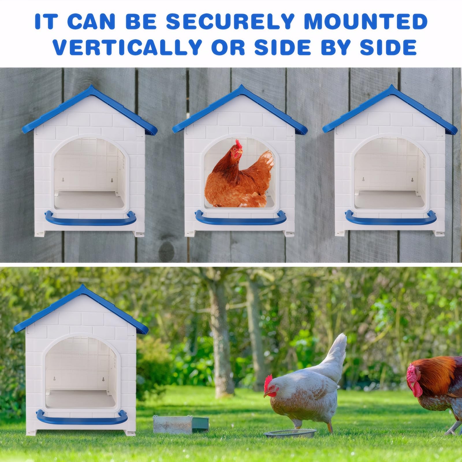 CMOSAF wall mounted nesting box installed in a coop for space saving and secure fit