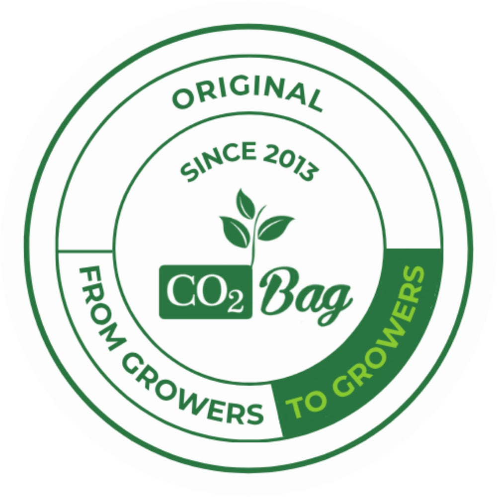 CO2BAG in a styled indoor garden setting showing improved plant vigor benefit