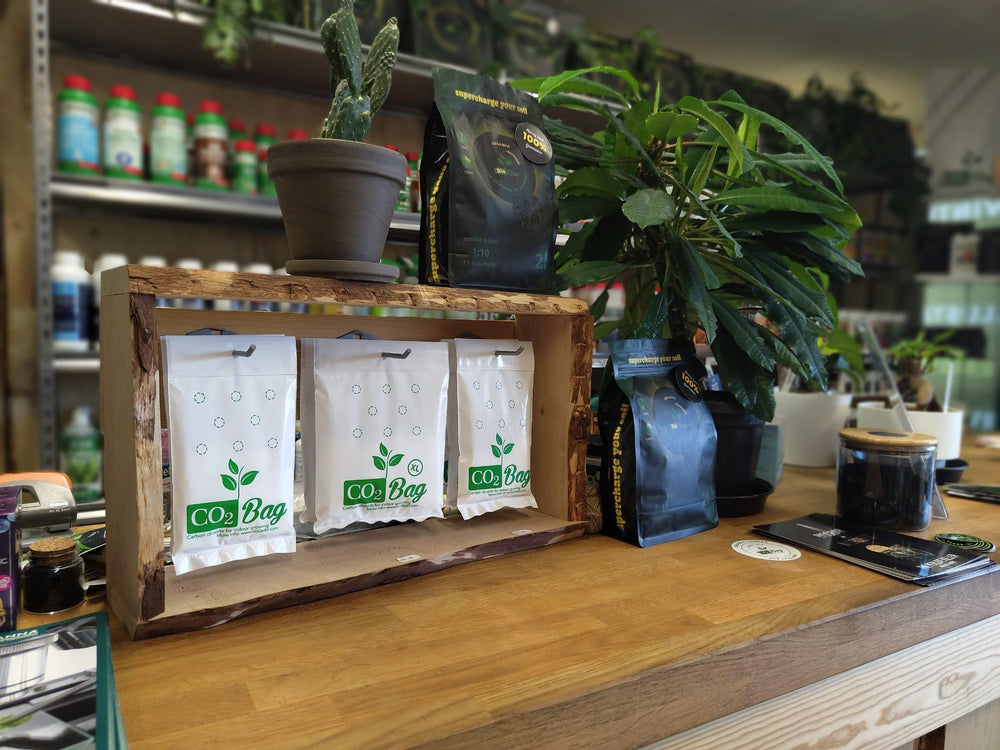 CO2BAG XL in a greenhouse lifestyle scene portraying healthier fuller canopy