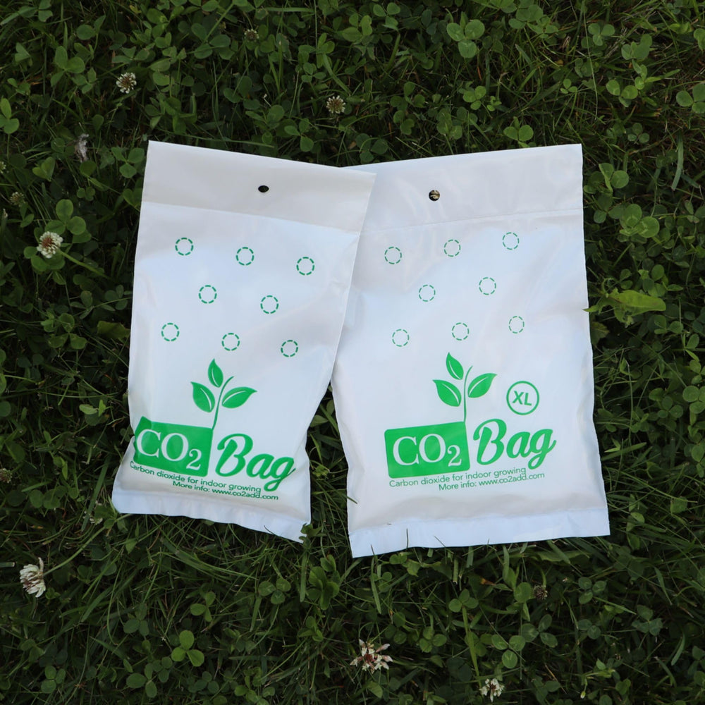 CO2BAG XL beside ruler demonstrating scale and coverage area clearly