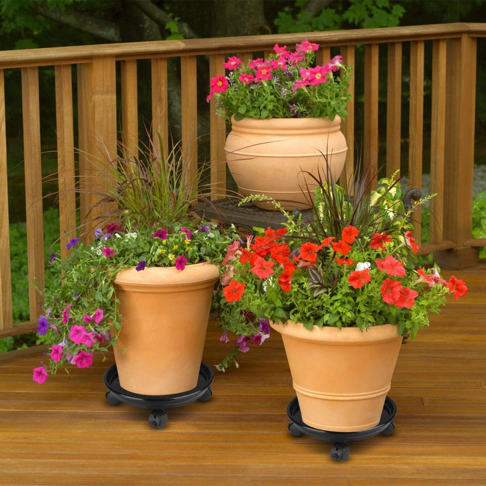 Coadura two-pack boxed together ready to ship for convenient purchase and storage