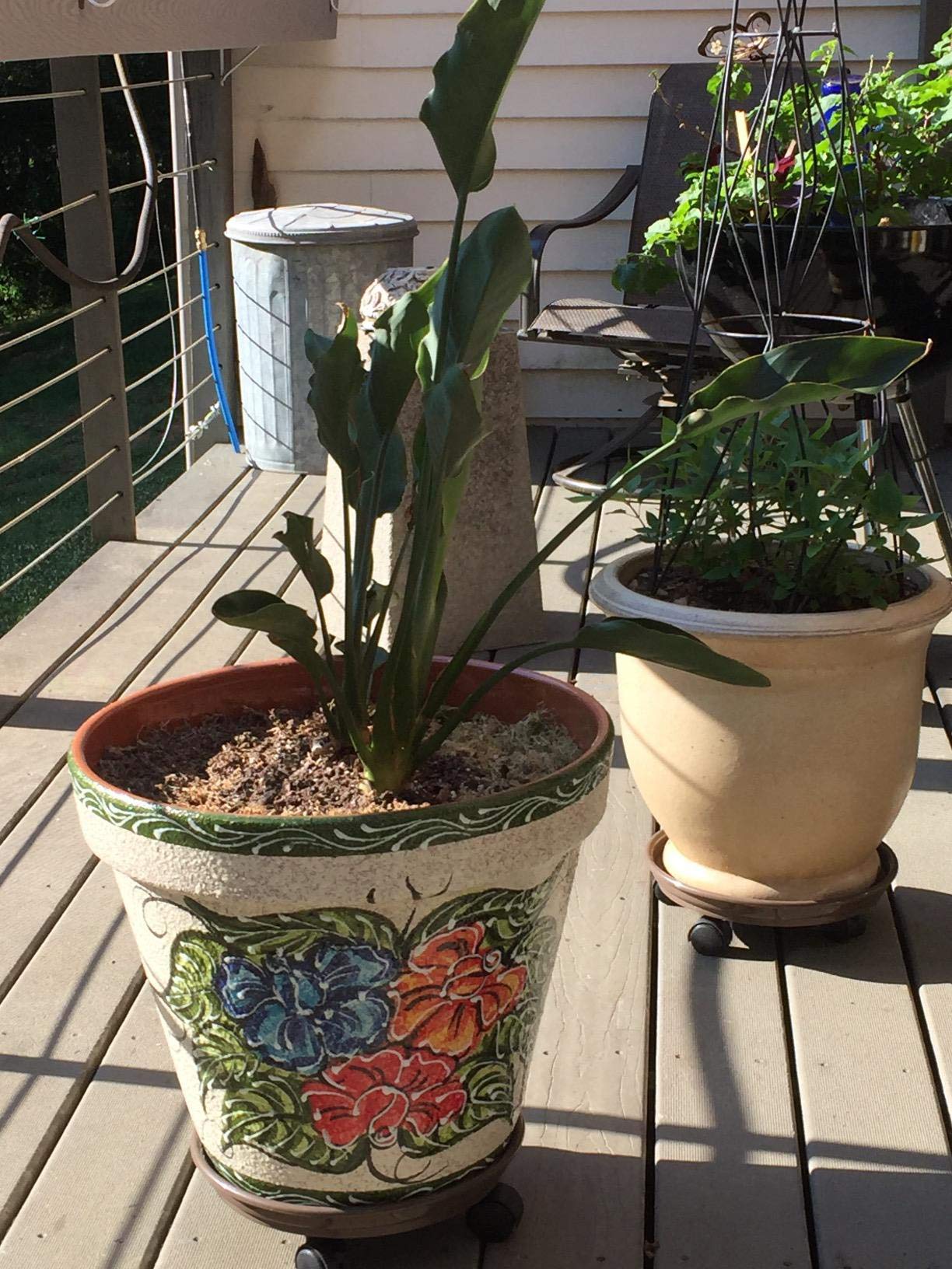 Coadura tray holding overflow water under pot, prevents floor wetting when watering