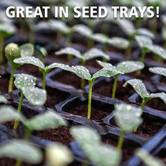 Coast of Maine supporting healthy roots on cuttings for quick establishment