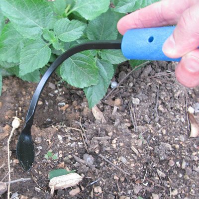 CobraHead cultivating soil to break crusts and improve aeration effectively