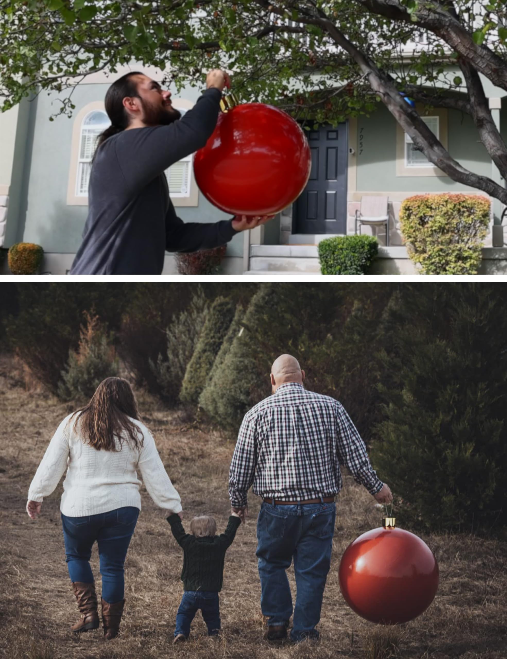 COCOMOON size comparison with person to show scale and visual impact