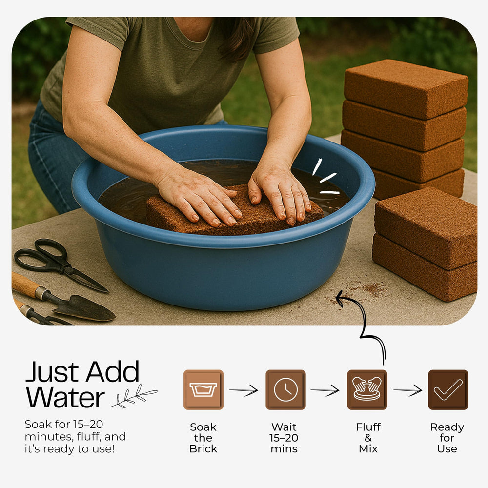 COCONIQ expanded coco coir in bowl demonstrating fluffy texture and moisture retention