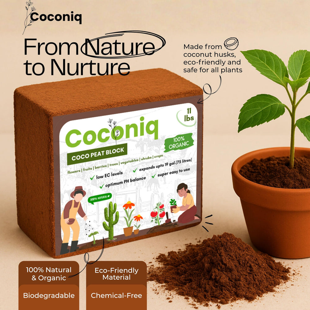 COCONIQ used in potted plant mix improving aeration and drainage for container growth