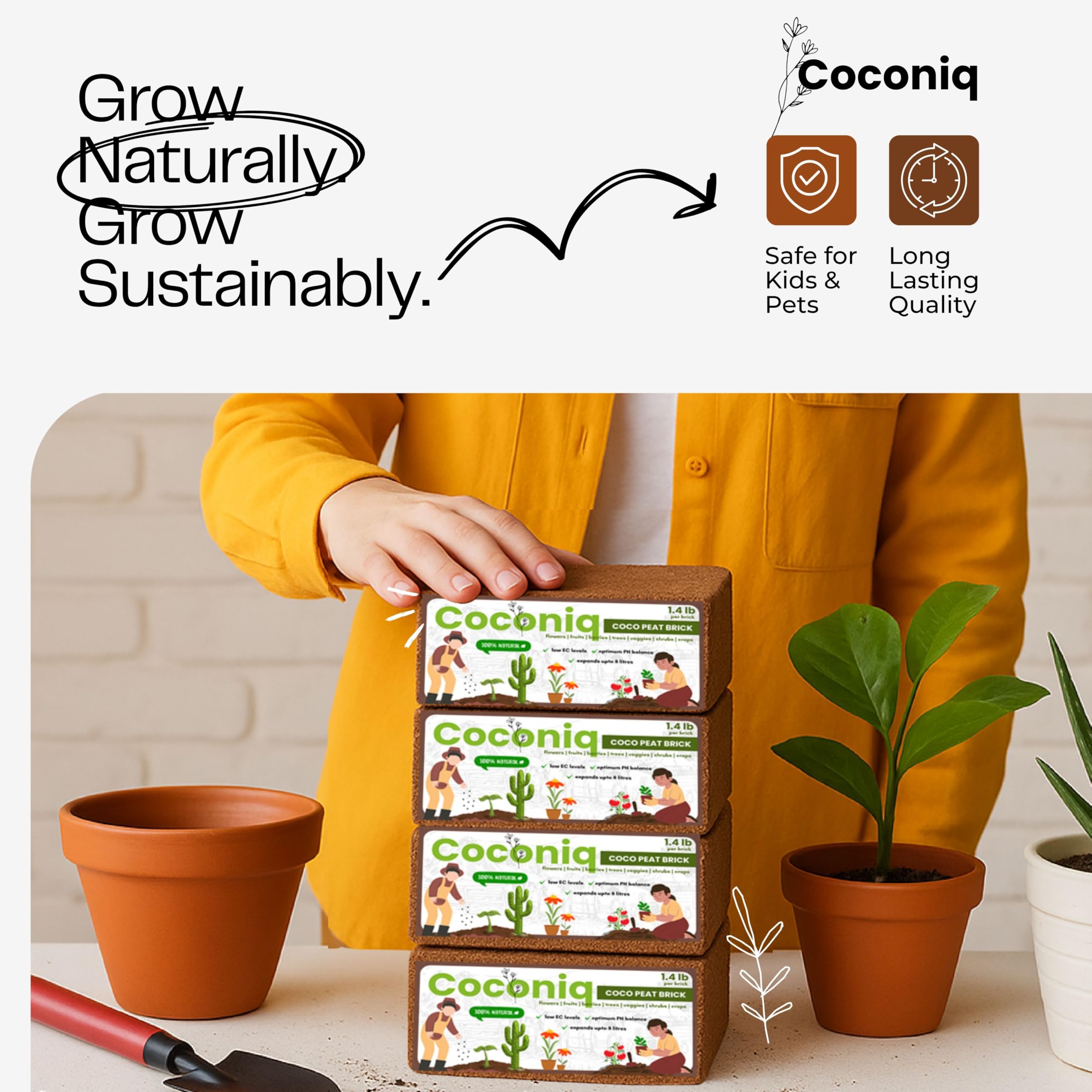 COCONIQ size comparison beside ruler showing compact brick and expanded volume benefit