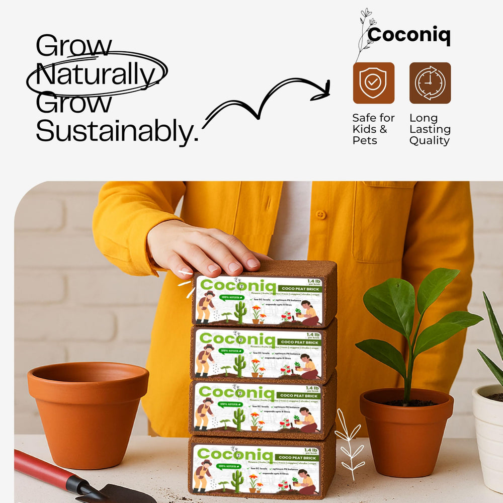 COCONIQ size comparison beside ruler showing compact brick and expanded volume benefit