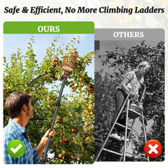 COCONUT close-up of foam-lined basket bottom protecting fruit from bruising