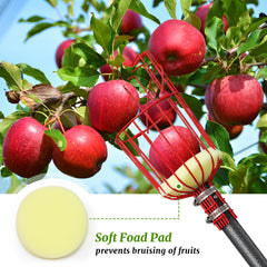 COCONUT extended pole in use harvesting an apple from a tall branch, ladder-free benefit