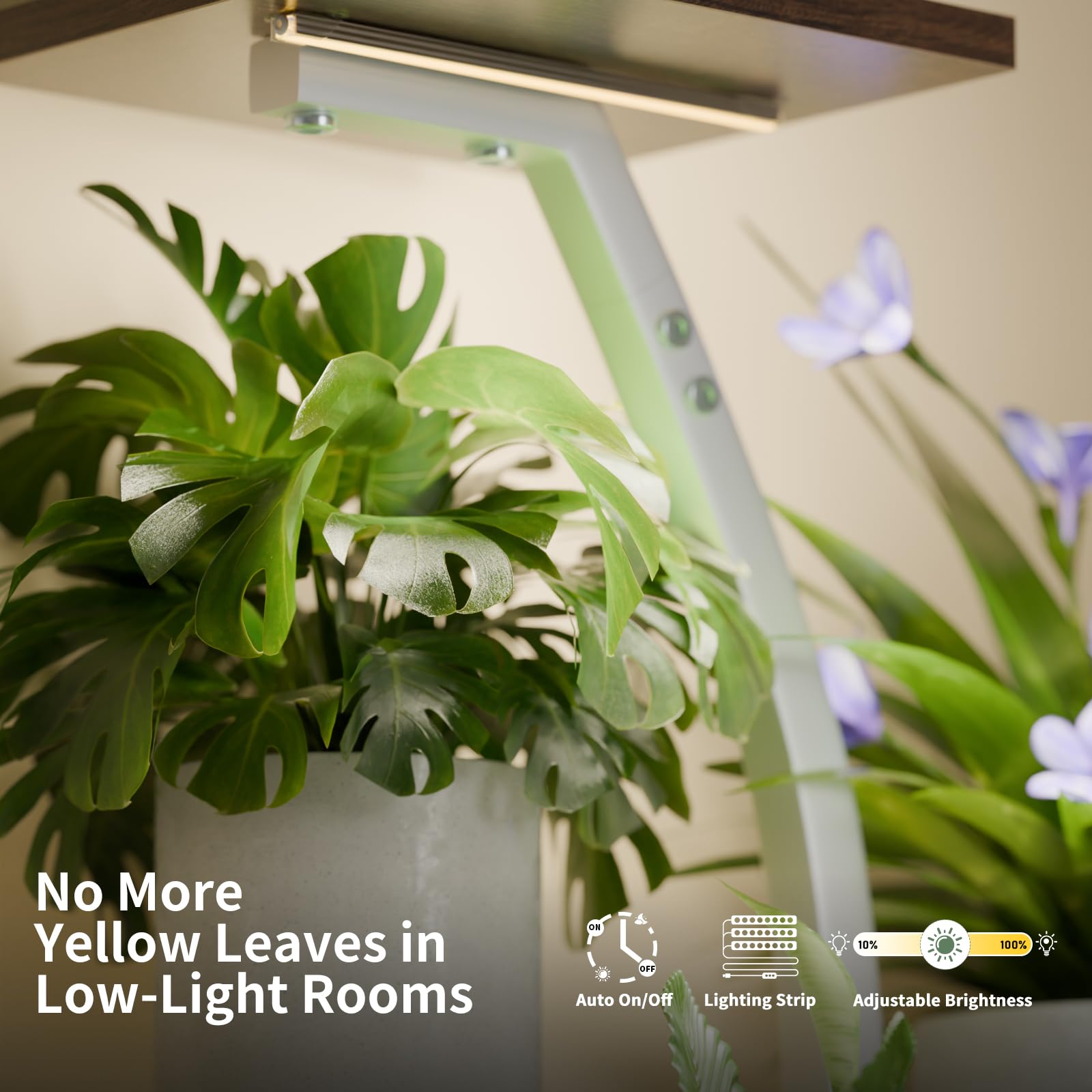 CODACE placed in a living room corner demonstrating compact footprint advantage
