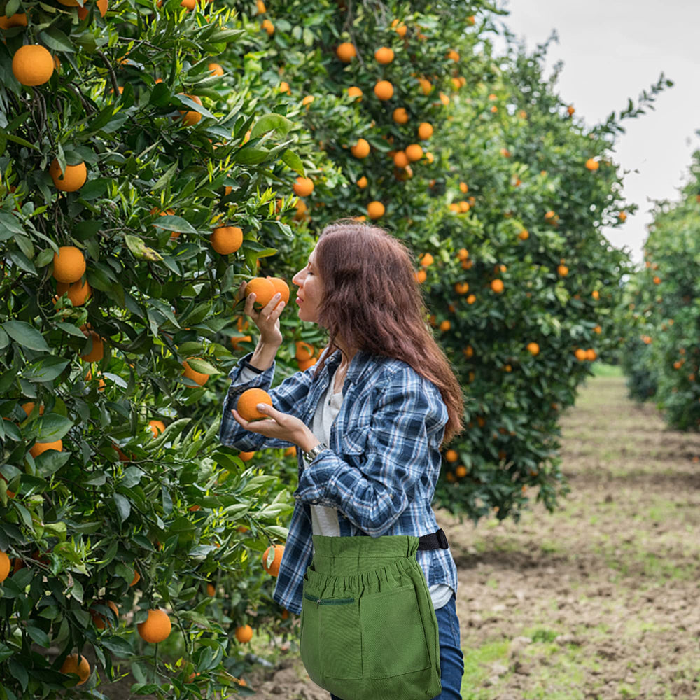 codree apron worn by gardener harvesting tomatoes for efficient hands-free collecting