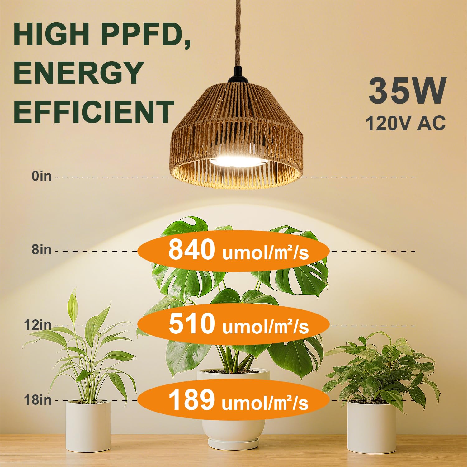 Cofiveevo adjustable height mechanism demonstrating easy lamp distance changes