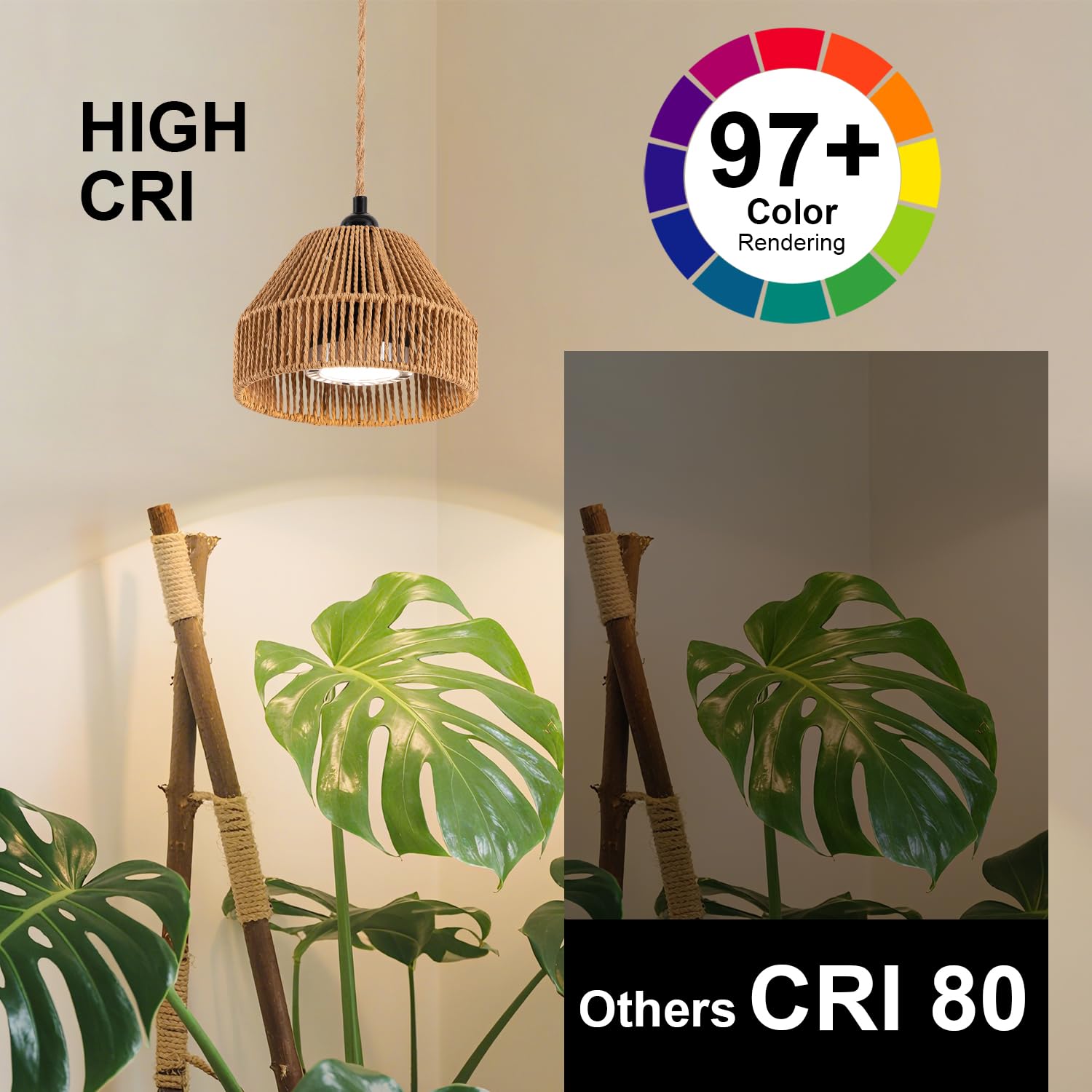 Cofiveevo hanging light over large houseplant providing uniform growth light