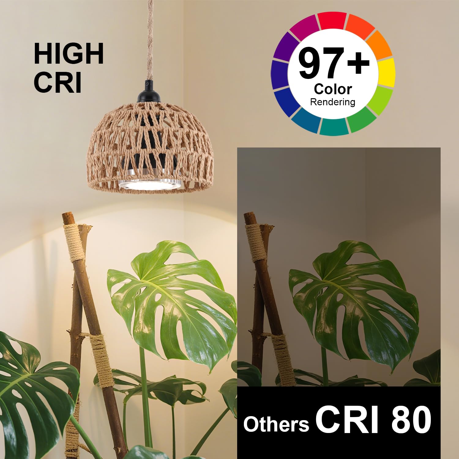 Cofiveevo light illuminating potted plants to enhance foliage color