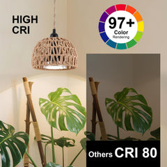 Cofiveevo light illuminating potted plants to enhance foliage color