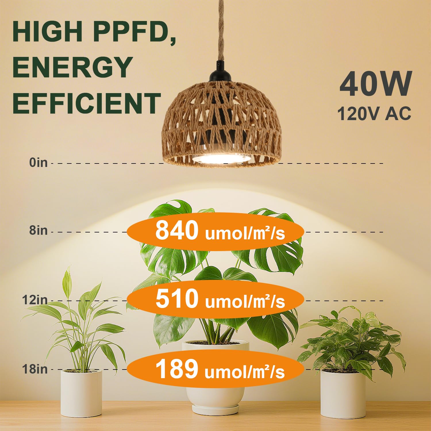 Cofiveevo timer and plug detail for easy scheduling and convenience