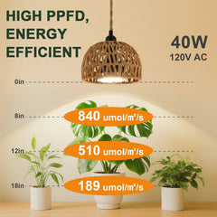 Cofiveevo timer and plug detail for easy scheduling and convenience