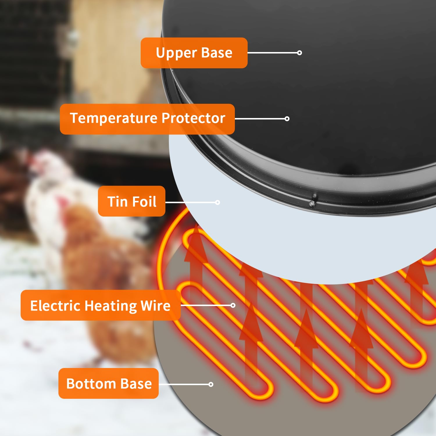 COICOTTC installed inside a coop beneath a waterer demonstrating everyday winter use