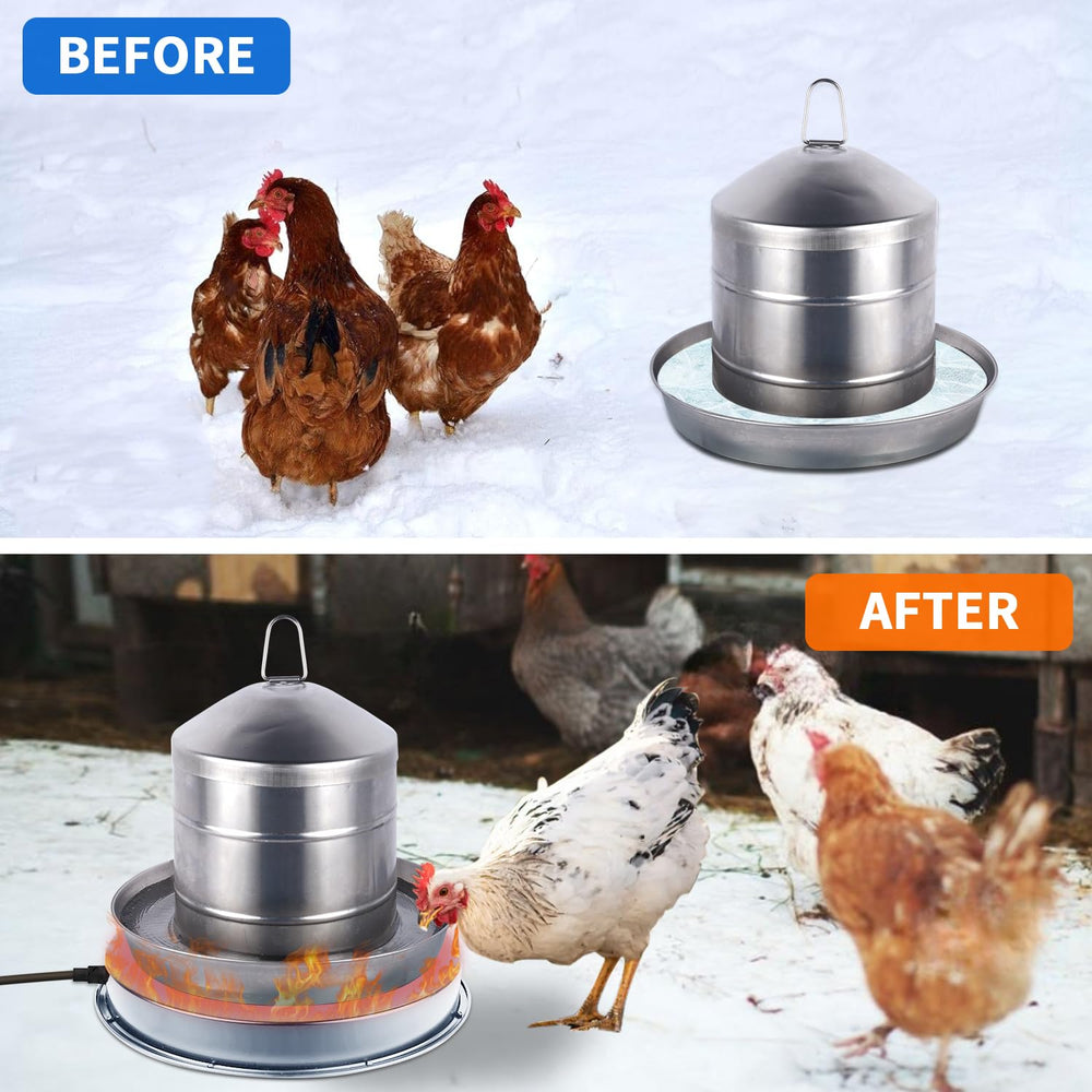 COICOTTC in-coop lifestyle image showing accessible water for chickens in cold weather